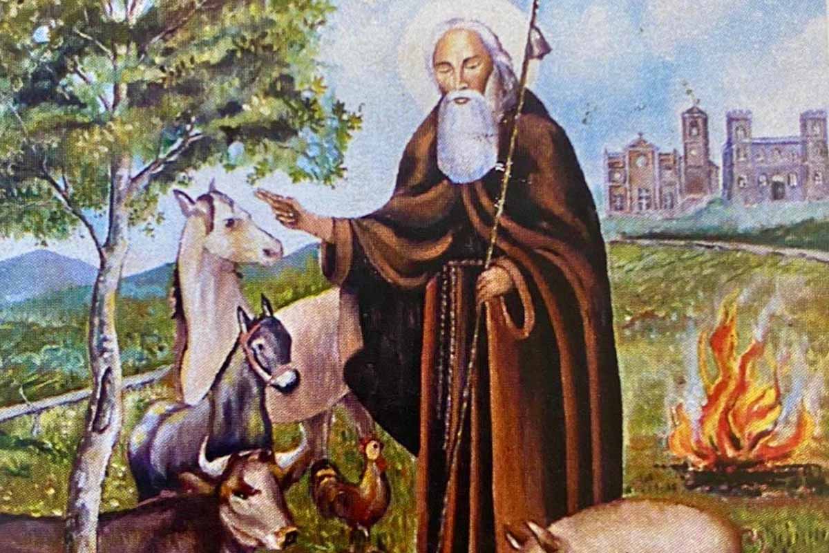 Da Ispica a Scicli. Nel fine settimana si festeggia Sant’Antonio Abbate protettore degli animali e dei campi