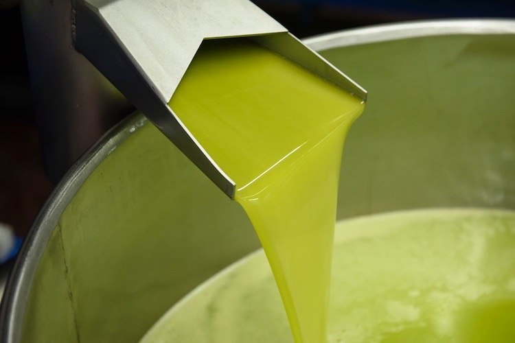 Olio: 16 mila tonnellate ancora ferme in Sicilia. Negli Iblei prezzi alti e giacenze Dop