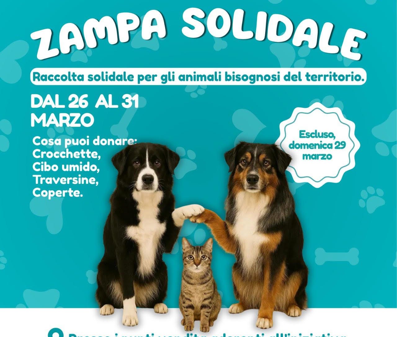 Ragusa si mobilita per gli animali con “Zampa Solidale”