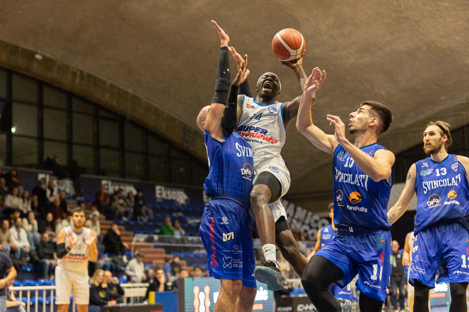 Virtus Ragusa–Reggio Calabria: sfida tra capoliste al PalaPadua