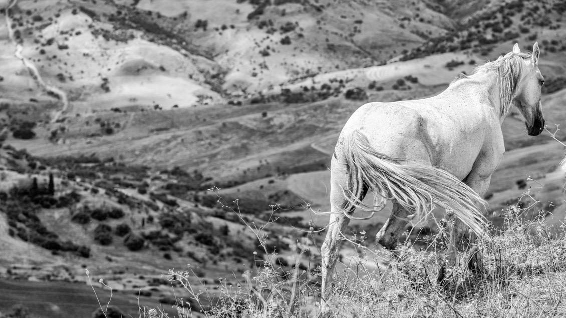 Mostra fotografica a Ragusa: “Acromie, note di viaggio” di Gino Taranto