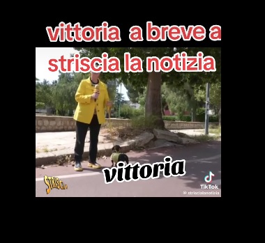 Un video falso di Stefania Petyx sulle buche nelle strade di Vittoria: ma la giornalista era a Palermo!