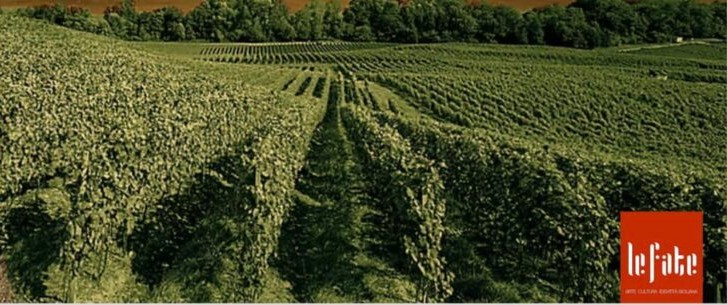 Dal XV secolo agli Iblei: il viaggio nel vino siciliano raccontato a Scicli