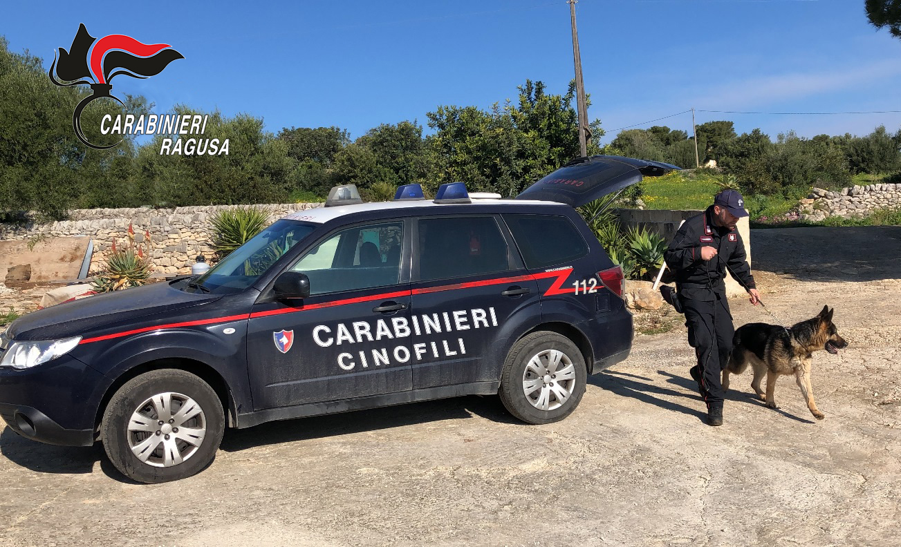 Droga nascosta in casa e nei mobili: operazione dei Carabinieri a Ispica