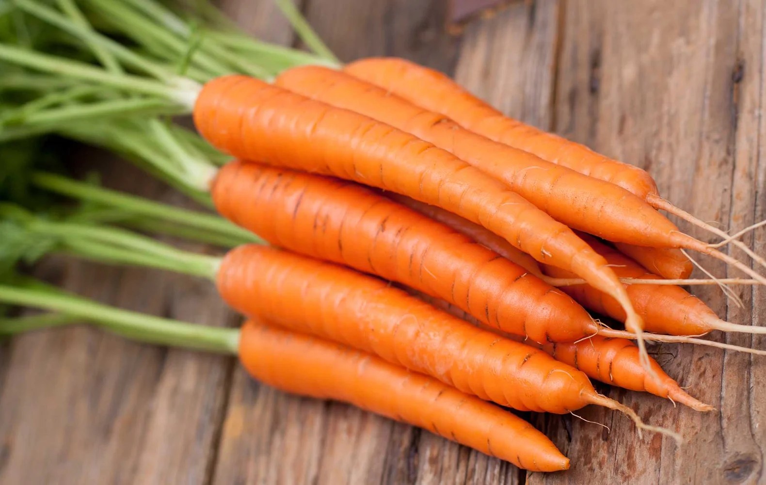 Carota Novella di Ispica Igp: annata complessa ma vincente sui mercati esteri