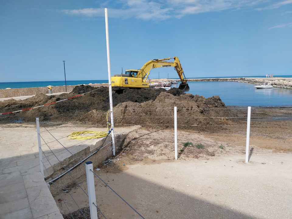 Il porticciolo di Donnalucata liberato dalla posidonia. Lavori in corso per ridare la praticabilità all’approdo