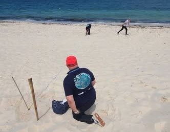 “Preparati Sicilia”: l’appello del WWF per salvare le tartarughe Caretta Caretta