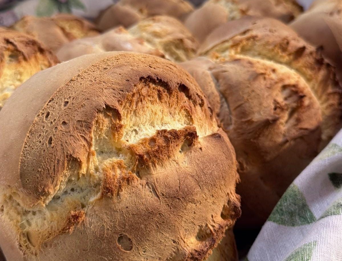 Forni riaccesi a Cassaro: il ritorno del pane comunitario tra storia e tradizione