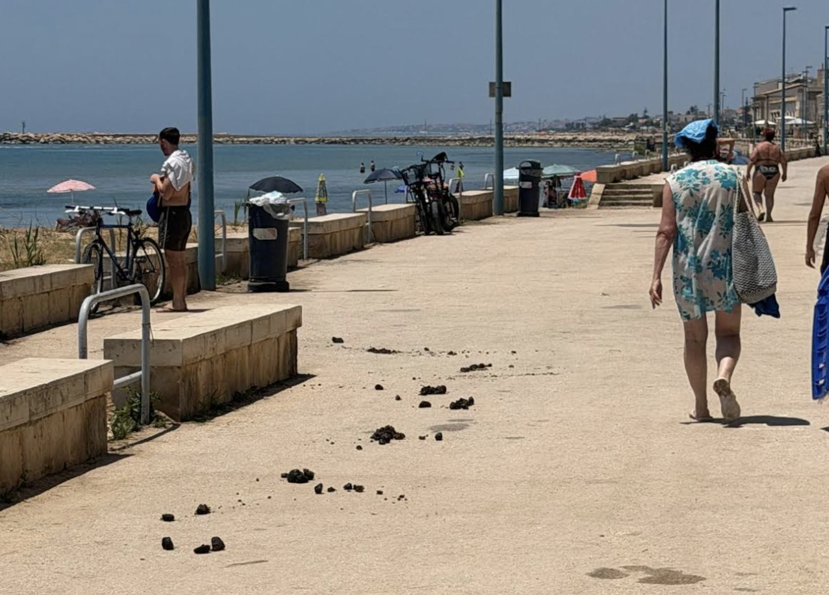 Perché vietare le spiagge agli animali nello Sciclitano? Lo spiega il sindaco Marino