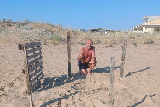 La natura sorprende Scoglitti: mamma tartaruga depone le uova sulla spiaggia in piena notte