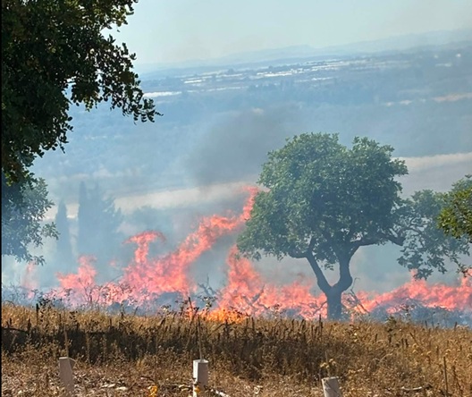Incendio nel parco di Serra San Bartolo, in fiamme carrubi e macchia mediterranea