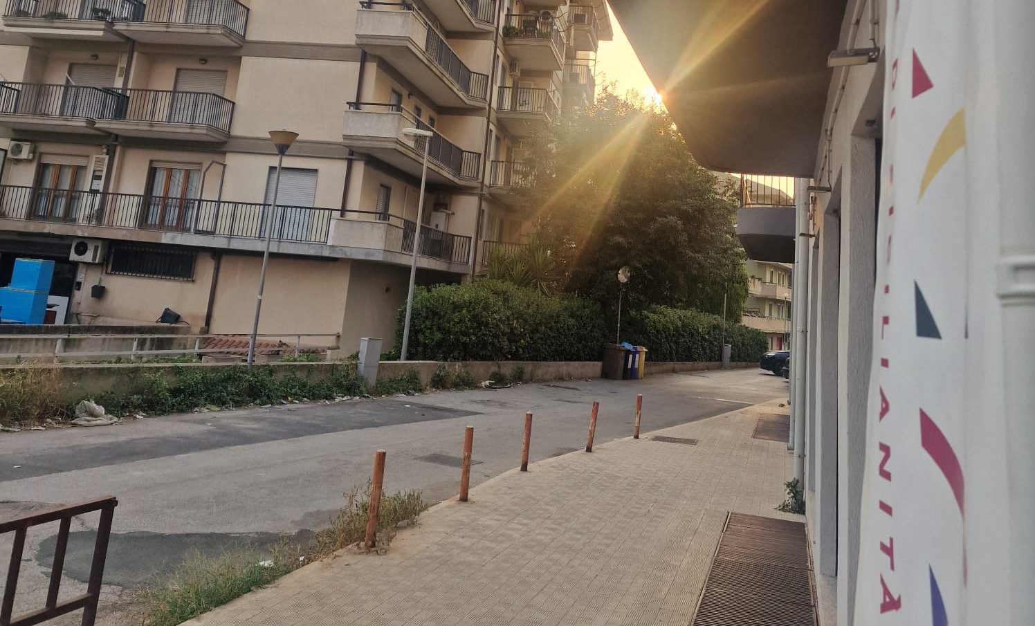 Gatto ucciso a colpi di spranga? Il drammatico caso scuote Modica: la LAV chiede indagini e telecamere