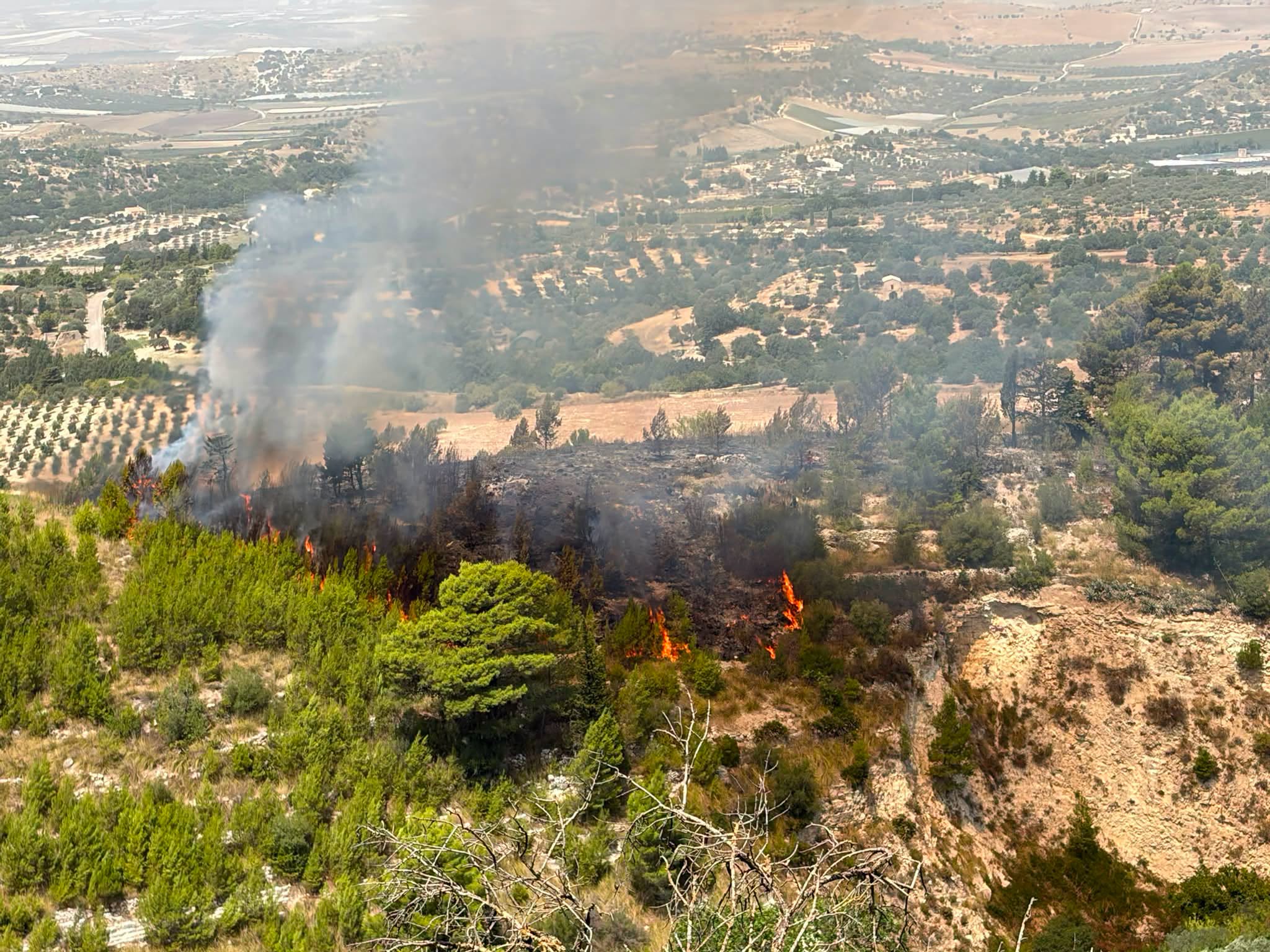 Incendio a Chiaramonte Gulfi, fiamme nella zona forestale: scatta il divieto di accesso