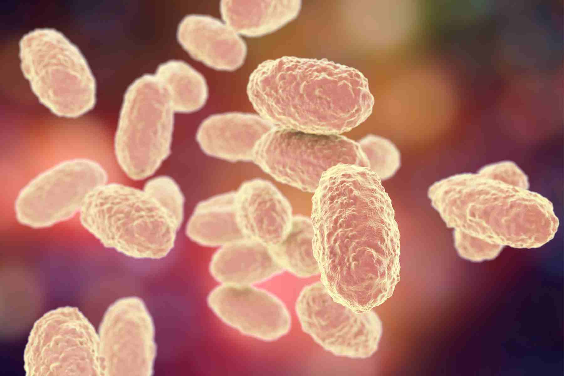 Difterite, la Sicilia corre ai ripari: task force regionale per monitorare i casi e rafforzare le vaccinazioni