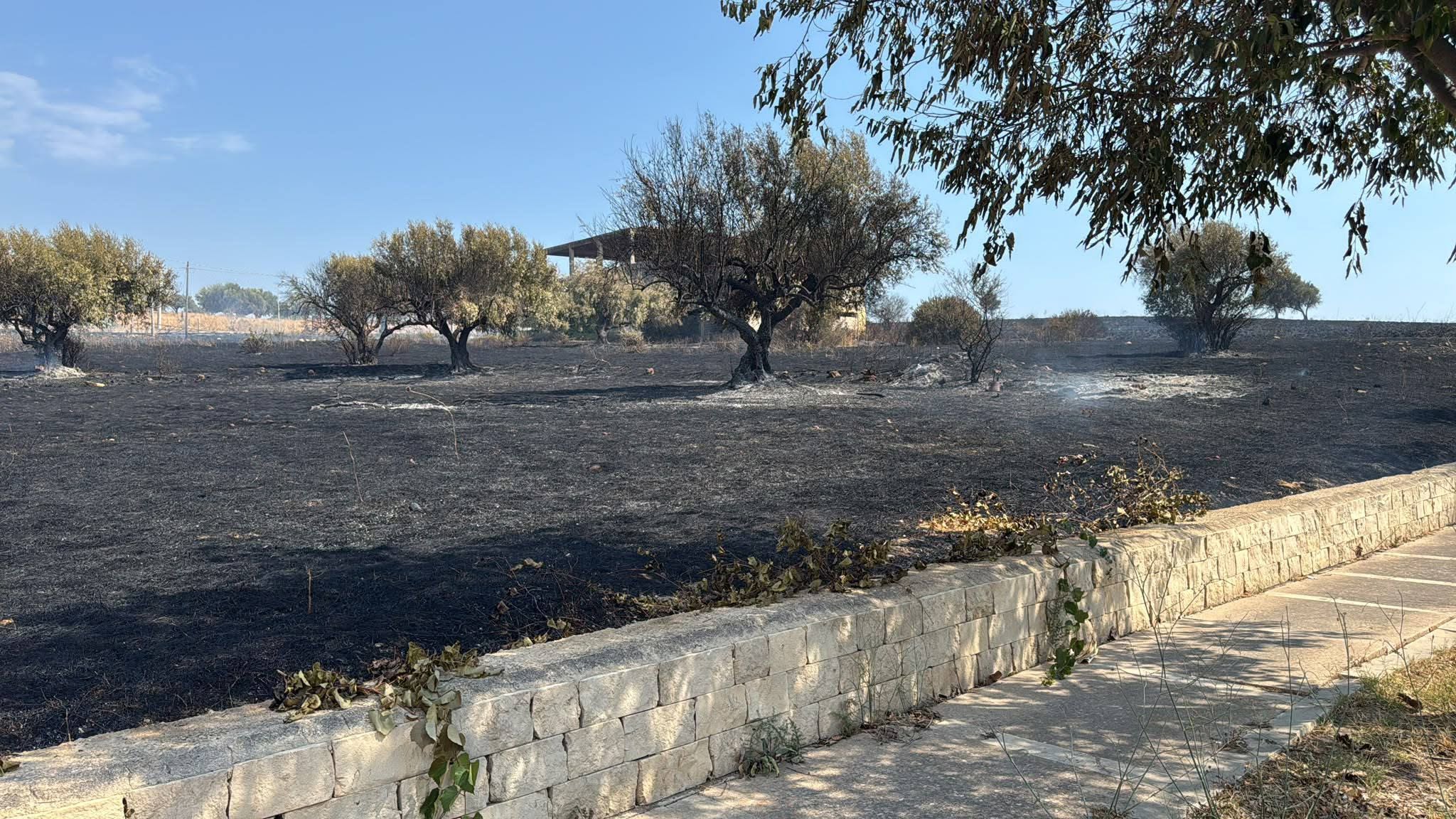 Incendio a Scicli: in via Vitaliano Brancati intervengono anche i volontari dell’Antincendio Boschivo