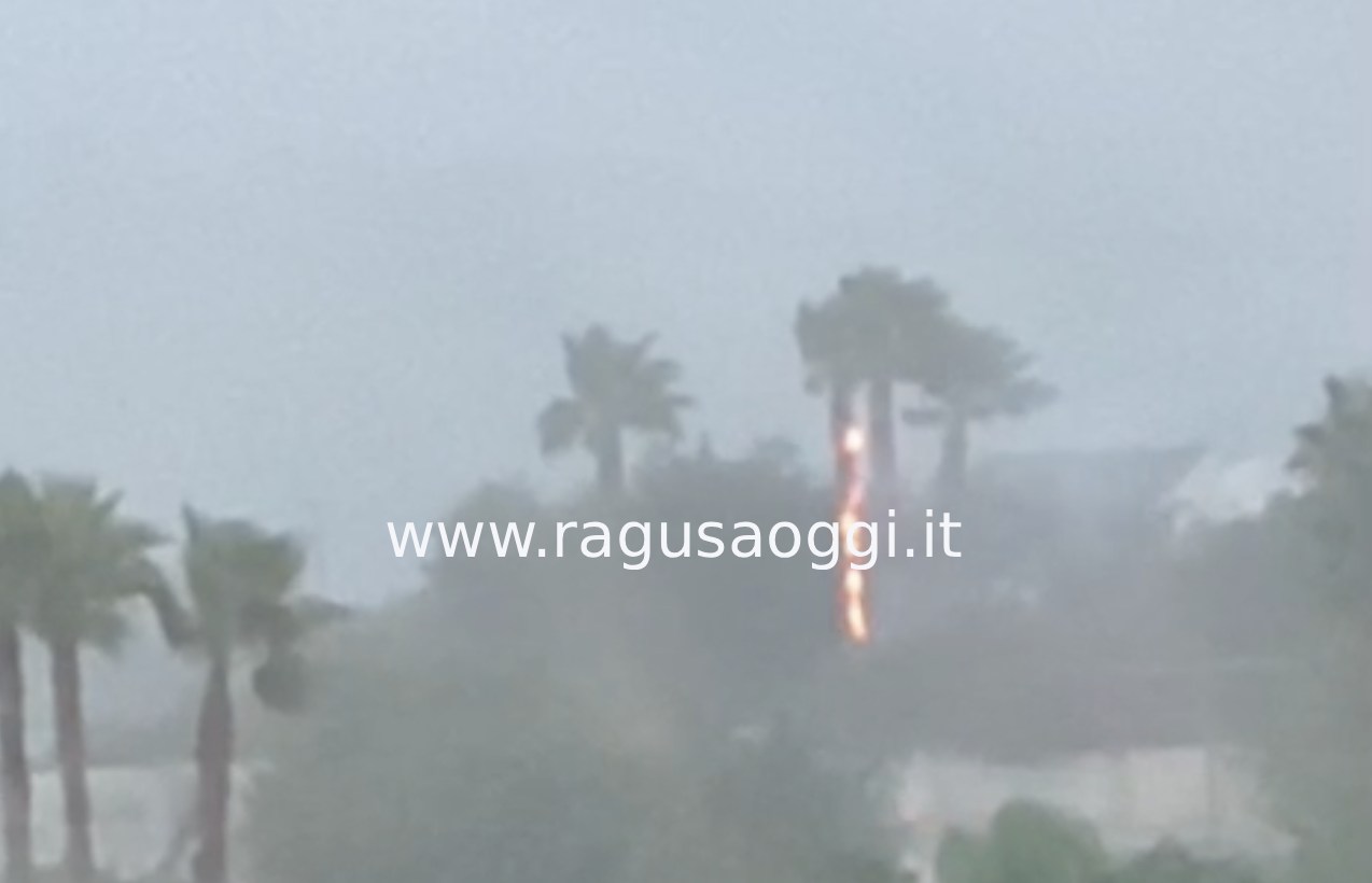 Un fulmine si abbatte su Modica Sorda e incendia una palma. VIDEO