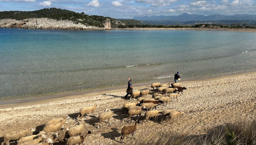 Dietro le quinte di The Odyssey c’è anche un chiaramontano: la storia di Salvatore Sammatrice. FOTO