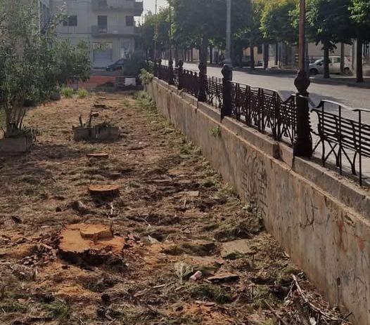 A Ispica la scuola senza ombra: “Abbattuti alberi che proteggevano le aule dal caldo”