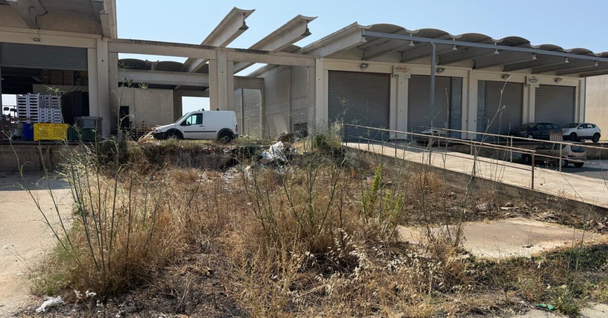 Mercato ortofrutticolo di Donnalucata nel mirino: “Troppe criticità, ora servono risposte”