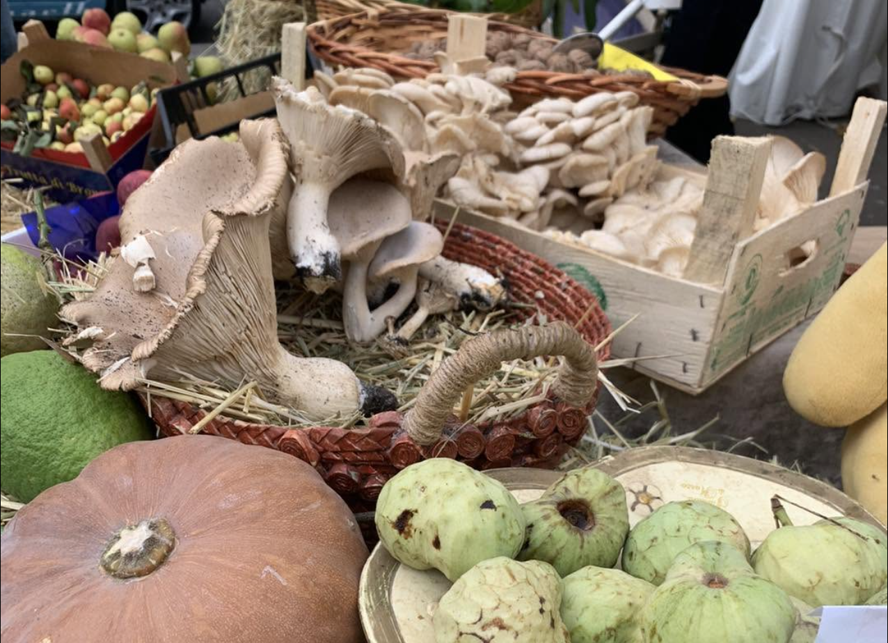Autunno negli Iblei, tra boschi, funghi e sapori della tradizione: a Buccheri si è chiuso il viaggio di “Sapori Ibleidi”