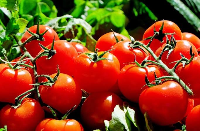 Il pomodoro di Vittoria e le strade lente della Sicilia: quanto costa ogni ora persa