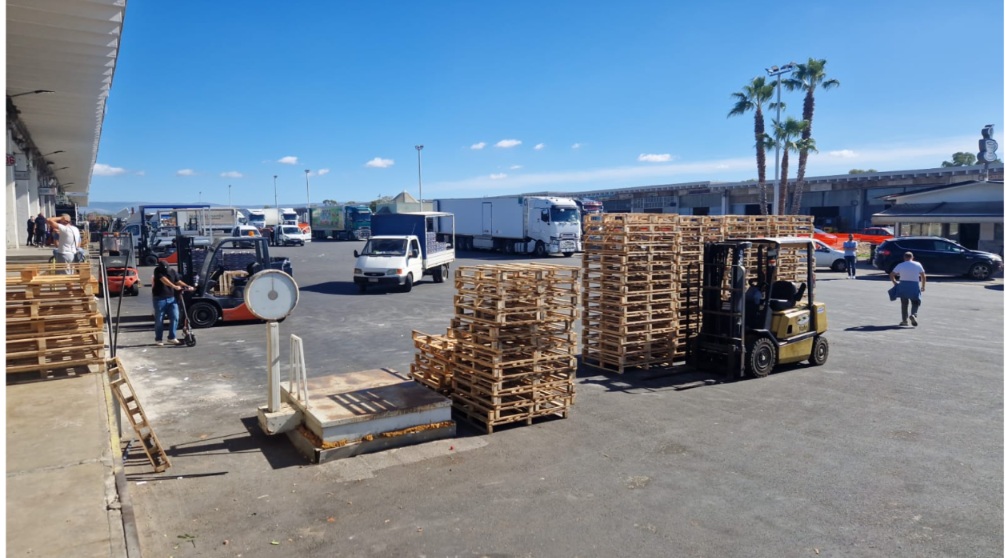 Ripresa lenta del mercato ortofrutticolo di Vittoria: prezzi più bassi, il fine settimana sarà decisivo