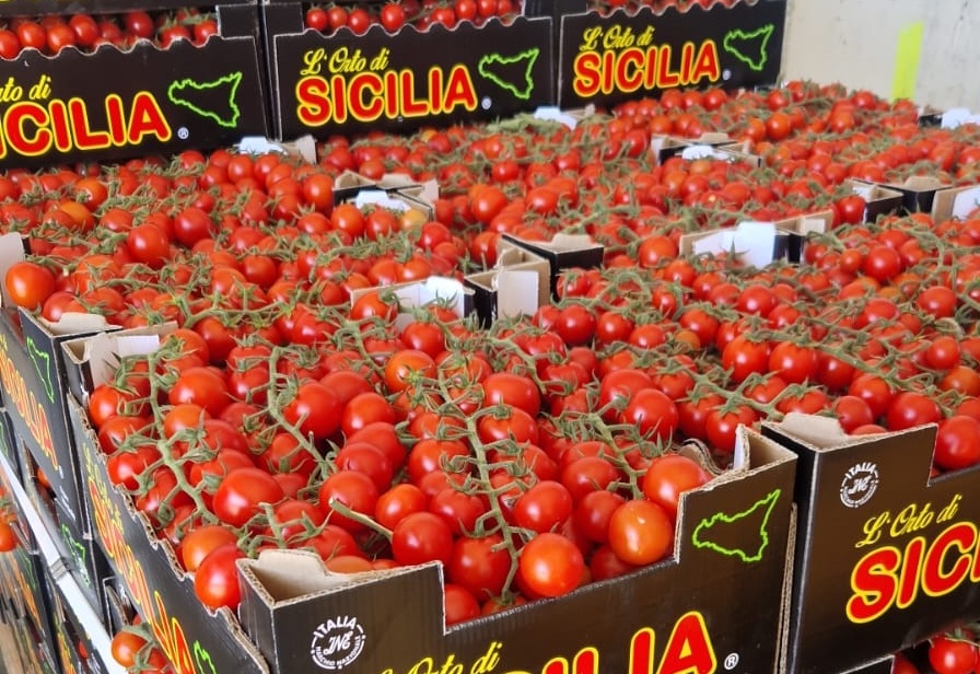 Vittoria, al mercato tornano i pomodori: il ciliegino vola sopra i 5 euro al chilo